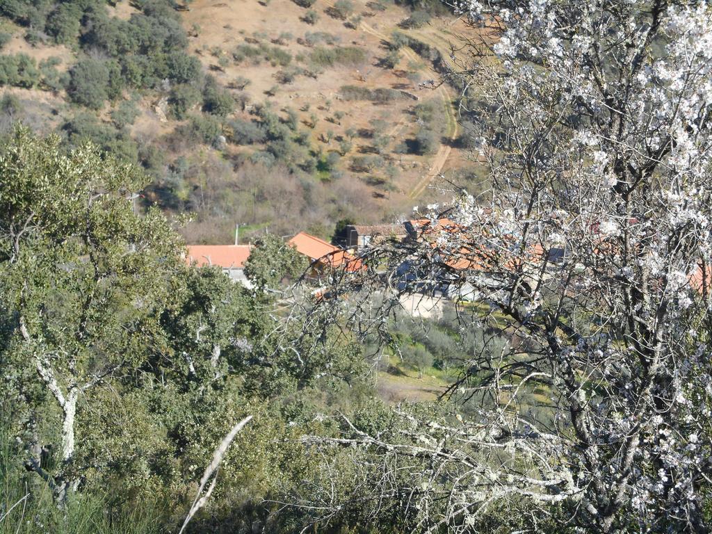 Casa Do Souto Vila Quinta do Souto Exterior foto